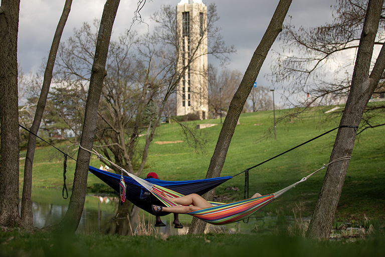 Students on Hammocks near potter lake